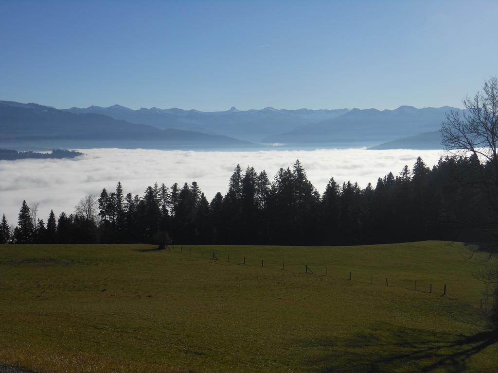 Ferienbauernhof Roth Villa Sulzberg  Buitenkant foto